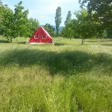 Saman Ciftligi *