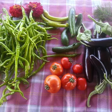 Saman Ciftligi * Pinarbasi (Canakkale)