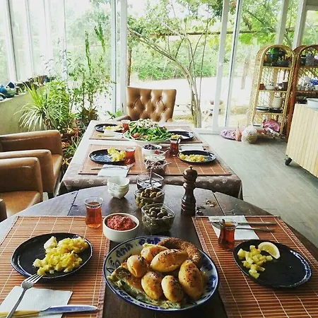Saman Ciftligi *