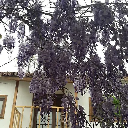 Saman Ciftligi Country house Pinarbasi (Canakkale)
