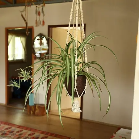 Saman Ciftligi Country house Pinarbasi (Canakkale)